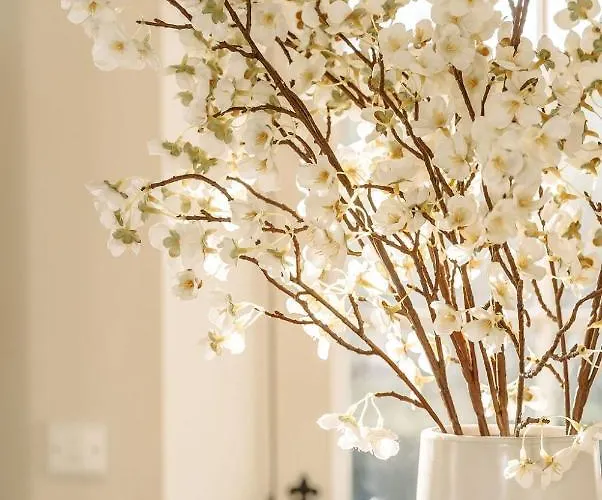 ベッド・アンド・ブレックファスト Bridge House グラッシントン